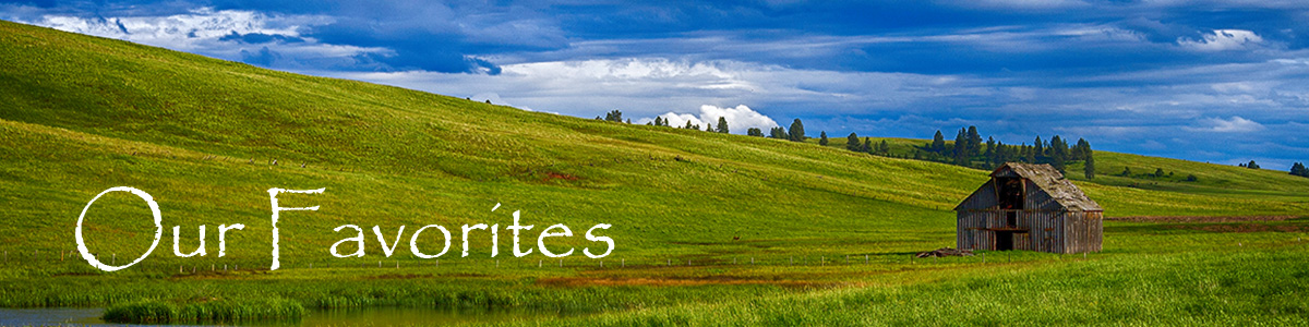 Responsive image